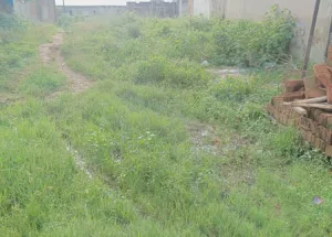  Residential Plot for Sale in Tamulia, Jamshedpur
