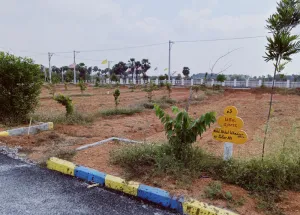  Residential Plot for Sale in Munagala Mandal, Nalgonda