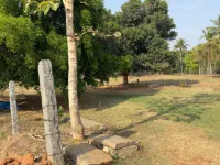  Agricultural Land for Sale in Nelamangala, Bangalore