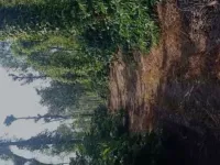  Agricultural Land for Sale in Coorg, Mysore