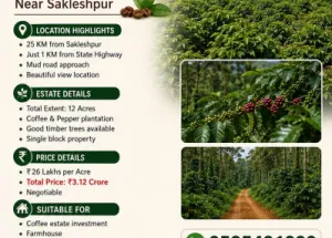 Agricultural Land for Sale in Sakleshpur, Hassan