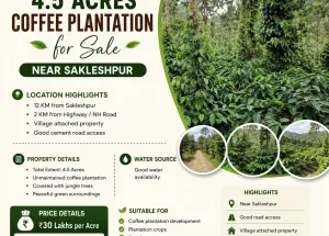 Agricultural Land for Sale in Sakleshpur, Hassan