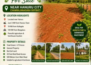 Agricultural Land for Sale in Hanur, Chamrajnagar