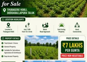 Commercial Land for Sale in Doddaballapur, Bangalore