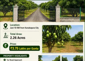 Agricultural Land for Sale in Kanakapura, Bangalore