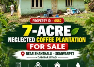 Commercial Land for Sale in Shanivarasanthe, Kodagu