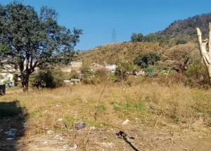Residential Plot for Sale in Nalagarh, Solan