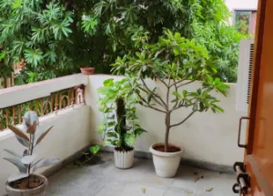 2 BHK Flats & Apartments for Rent in Rohini, Delhi