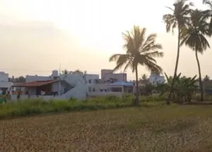  Agricultural Land for Sale in Kaspapettai, Erode
