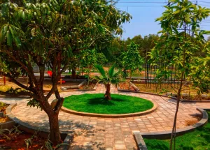 Residential Plot for Sale in Devanahalli, Bangalore