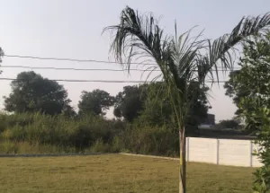 1 RK Builder Floor for Rent in Tejaji Nagar, Indore