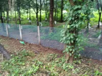  Agricultural Land for Sale in Iritty, Kannur