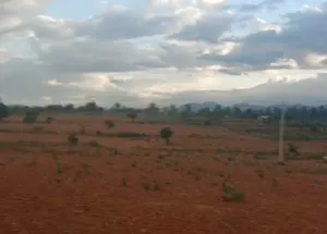 Agricultural Land for Sale in T Narasipura Road, Mysore