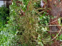  Residential Plot for Sale in Andheri East, Mumbai