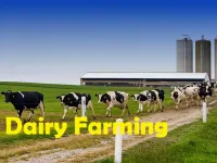  Agricultural Land for Sale in A. Vellalapatti, Madurai