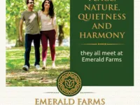 1 RK Farm House for Sale in Sant Nagar, Patiala