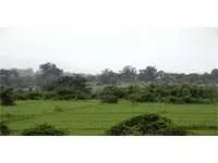  Agricultural Land for Sale in Wada, Thane