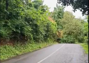 6300 Sq. Meter Residential Plot for Sale in Dodamarg, Sindhudurg