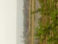  Industrial Land for Sale in Sohna Road, Gurgaon