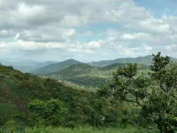  Agricultural Land for Sale in Kumily, Idukki