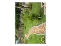  Agricultural Land for Sale in Walajabad, Kanchipuram