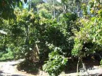  House for Sale in Kattappana, Idukki