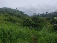 Agricultural Land for Sale in Pavana Lake, Pune