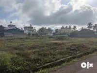 Residential Plot for Sale in Sagara, Shimoga