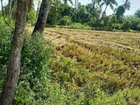  Agricultural Land for Sale in Thavalakuppam, Pondicherry