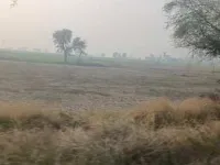  Agricultural Land for Sale in Sohna Palwal Road, Gurgaon