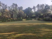  Agricultural Land for Sale in Jhatikara, Najafgarh, Delhi