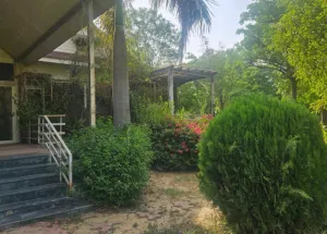 2.5 BHK Farm House for Sale in Bijwasan, Delhi