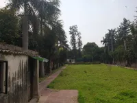  Agricultural Land for Sale in Kapashera, Delhi
