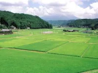  Agricultural Land for Sale in Ramnagar Road, Kashipur