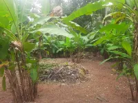  Residential Plot for Sale in Pappanamcode, Thiruvananthapuram