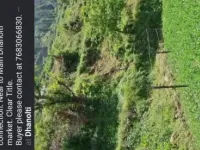  Residential Plot for Sale in Mussoorie, Dehradun