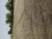  Agricultural Land for Sale in Sector 17 Dwarka, Delhi