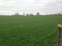  Agricultural Land for Sale in Beas, Amritsar