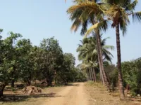  Residential Plot for Sale in Dumas, Surat