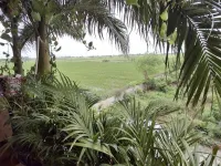  Residential Plot for Sale in Dumas Road, Surat