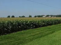  Agricultural Land for Sale in Ramgarh, Alwar