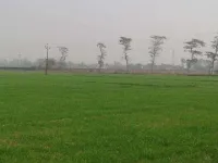  Agricultural Land for Sale in Ferozepur Road, Ludhiana