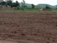  Agricultural Land for Sale in Garhshankar, Hoshiarpur