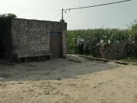  Agricultural Land for Sale in Banga, Shahid Bhagat Singh Nagar