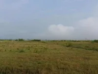  Agricultural Land for Sale in Chakrata Road, Dehradun