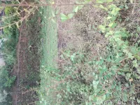 Industrial Land for Sale in Verna, Goa