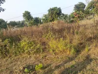  Agricultural Land for Sale in Budhi Vihar, Moradabad