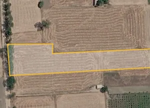  Agricultural Land for Sale in Mullanpur, Ludhiana