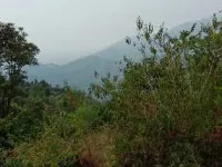  Agricultural Land for Sale in Morni Hills, Panchkula