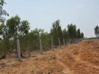 Agricultural Land for Sale in Old Madras Road, Bangalore